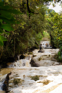 Cameron Highlands Robinson Falls trekking