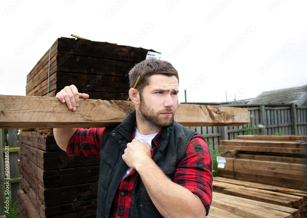 Wall mural Lumber yard worker, carpenter, choosing, seclecting carrying timber planks