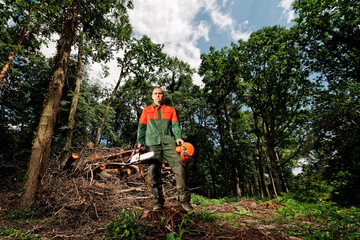 waldarbeiter im wald