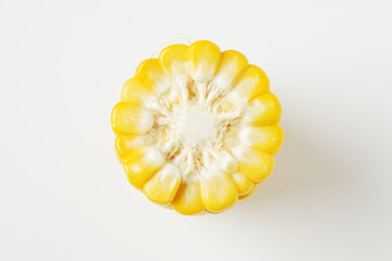 トウモロコシ断面