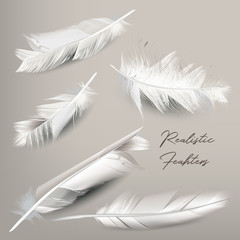 Fototapeta na wymiar Elegant collection of realistic vector white feathers for fashion design