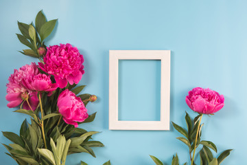Bouquet of beautiful pink peony flower and white frame for text on punchy pastel blue. Copy space. Top view. Flat lay.