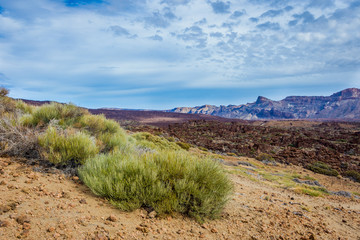 Volcanic landscape around Teide, Tenerife
