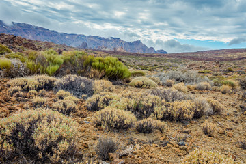 Volcanic landscape around Teide, Tenerife