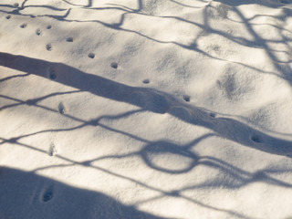 Abstract background.Traces of animals on white snow.