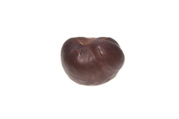 chestnut isolated on white background