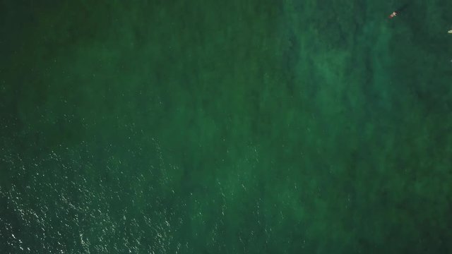 Top-down aerial view of surfers in the water.