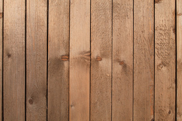 background texture of old tree close-up