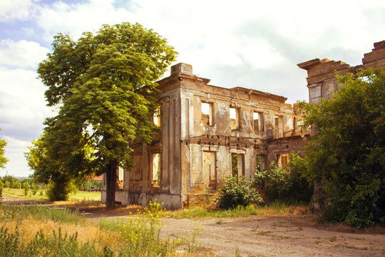 estate in the village of Vasilyevka, Odessa region, Ukraine