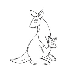 Fototapeta na wymiar kangaroo in continious line graphic style