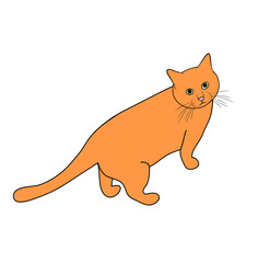 Vector illustration, isolated cartoon red-headed domestic cat, outline hand painted drawing
