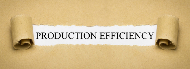 Production Efficiency