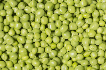 green peas close up in the detail - background