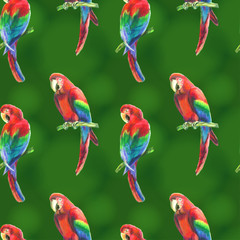 Parrots on green background. Seamless pattern, hand drawn.