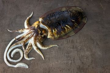 Delicious raw cuttlefish lies on the surface of a dark stone. Concept is fresh seafood, healthy food.