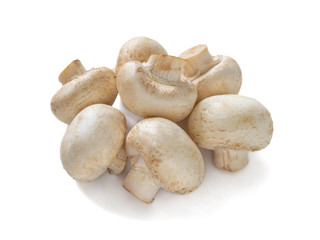 Pile of fresh  champignons