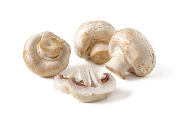 Champignons in the kitchen