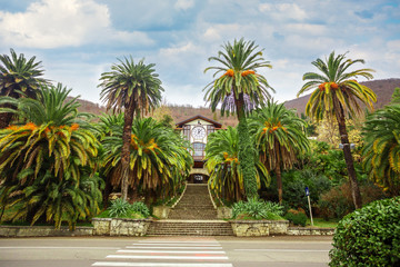 Fototapeta na wymiar the city of Gagra in Abkhazia in the palms