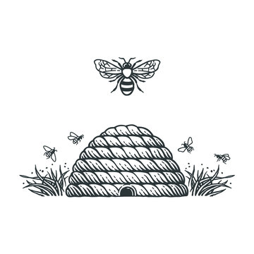 Beehive and bees.Hand drawn engraving style illustrations.