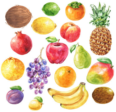 Hand drawn watercolor fruits set, isolated on white background. Food art clip-art.