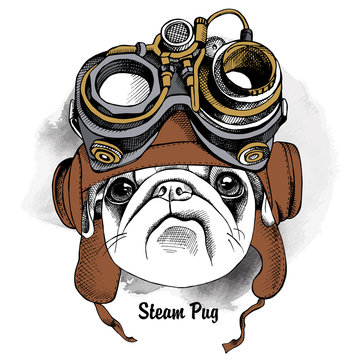 Dog Pug portrait in the Steampunk helmet. Vector illustration.