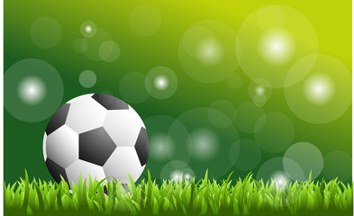 Fototapeta premium Soccer ball on green grass - vector soccer background