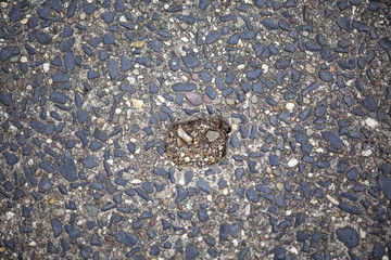 Hole in gravel road
