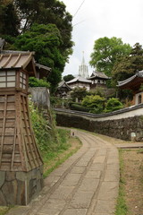 Fototapeta premium 寺院と教会の見える風景