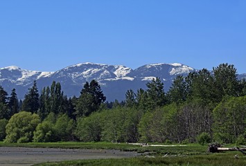 Fototapeta na wymiar view across the shores of the estuary towards the Strathcona Park Mountain Range, Courtenay Vancouver Island British Columbia Canada 