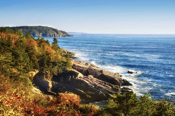 The coast of the Atlantic Ocean. rocky wooded coast. National park of Acadia. USA. Maine
