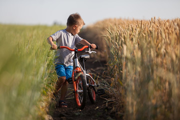 Fototapeta na wymiar Child in a field with a bicycle. Wheat is yellow and green.