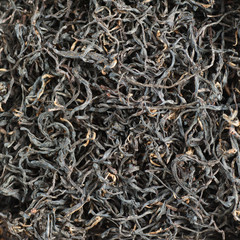 Tu Hong / Perfectly suitable tea composition for backgrounds and textures.
Many different varieties and shapes on one square photo. Top view.
The High-End Tea of China.