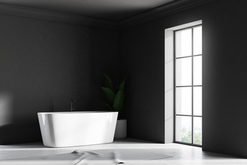 Obraz na płótnie Canvas Gray loft bathroom corner, tub and plant