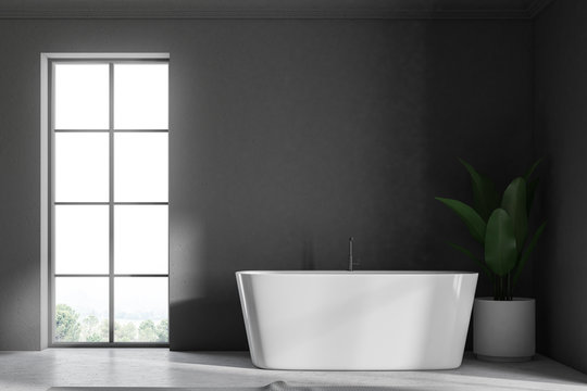 Gray loft bathroom interior, tub and plant