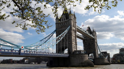 Fototapeta na wymiar Tower Bridge von Zweigen umhüllt