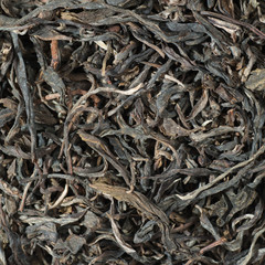 shu puer jin gu/ Perfectly suitable tea composition for backgrounds and textures.
Many different varieties and shapes on one square photo. Top view.
The High-End Tea of China.