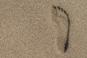 Fototapeta na wymiar Texture of the footprint of the left foot on wet sand, top view, background
