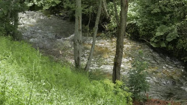 mountain stream, zoom out

