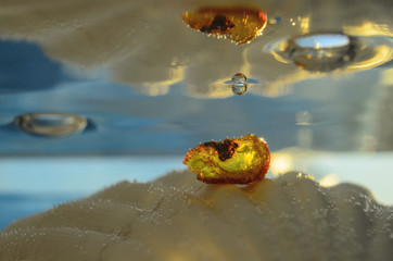 Amber stone on the seashell