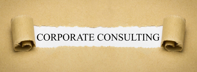 Corporate Consulting