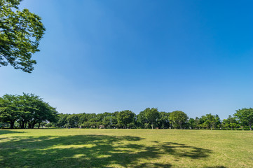 東村山中央公園の風景