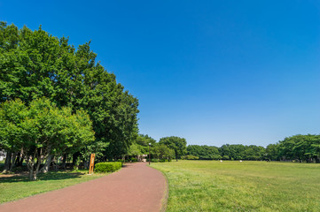 東村山中央公園の風景