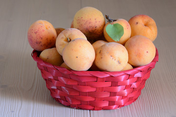 Fresh season fruits/ Basket of apricots upon a timber table