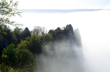Naturpark Obere Donau; Nebelverhangenes Donautal;