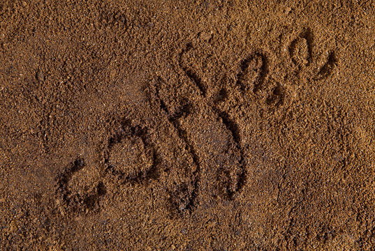 Fototapeta The inscription "coffee" with handwriting.