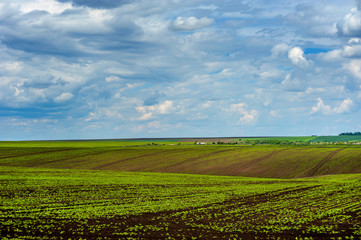Fototapeta na wymiar agricultural hills landscape with beautiful sky