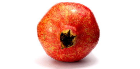 Granatapfel von vorne