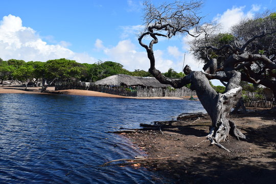 casa velha