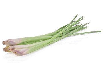 Lemon grass on a white background