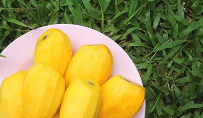 Ripe mango  in a pink plate on a grass background.
